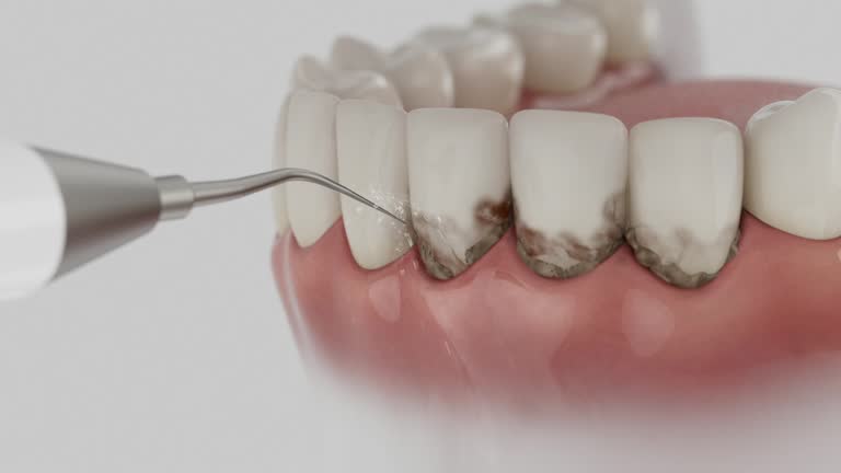 Reliable Dental contractor in Steiner Ranch, TX by Dentist Open Now